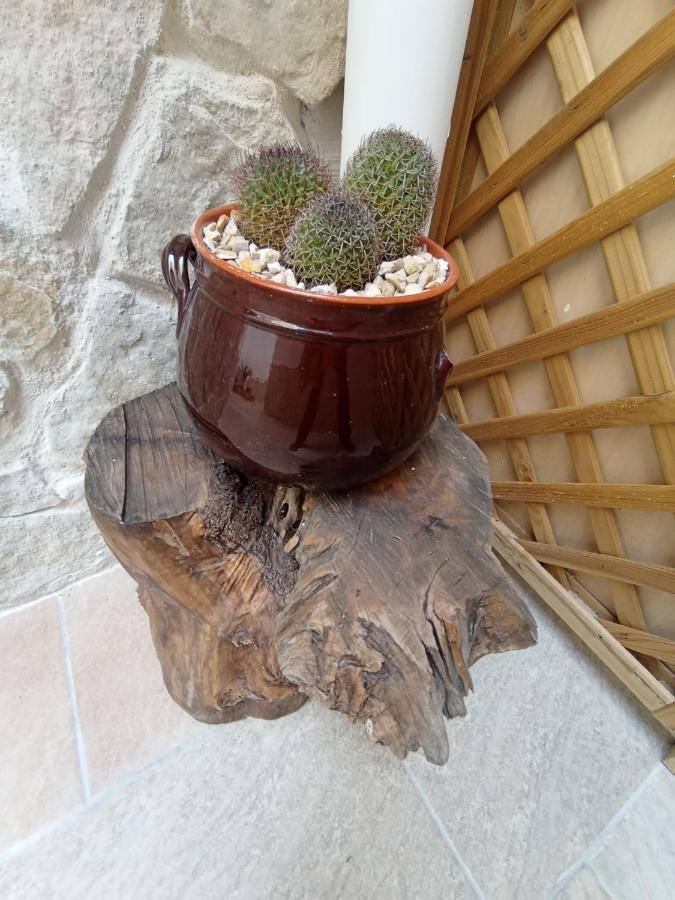 Samele Bed And Breakfast Lecce Zewnętrze zdjęcie